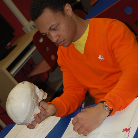 Young man studying human skull