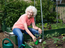 A woman who is sitting leans over a raised garden bed full of small green plants.