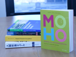Stack of MOHO books in different languages
