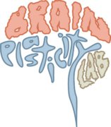 Brain Plasticity Lab logo